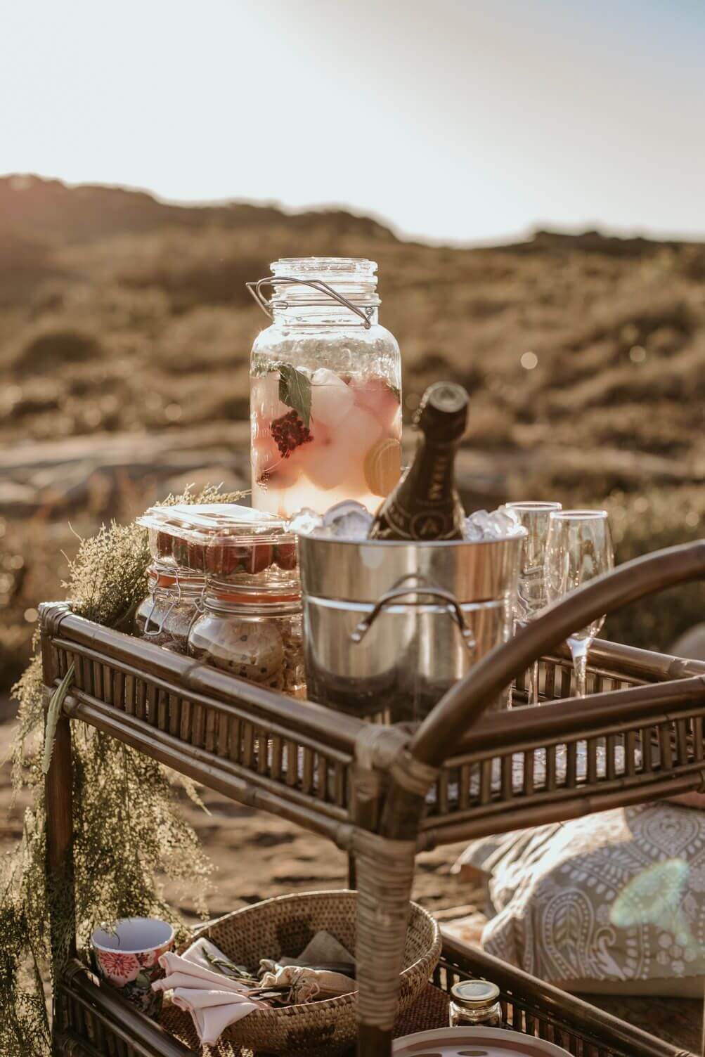 luxury picnic spread in national park