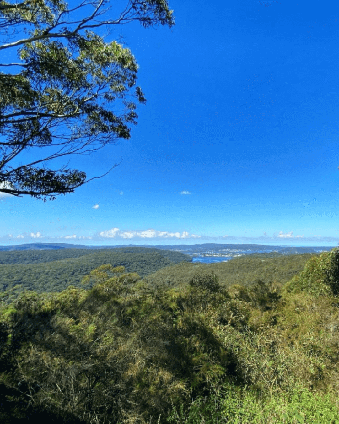 Staples Lookout