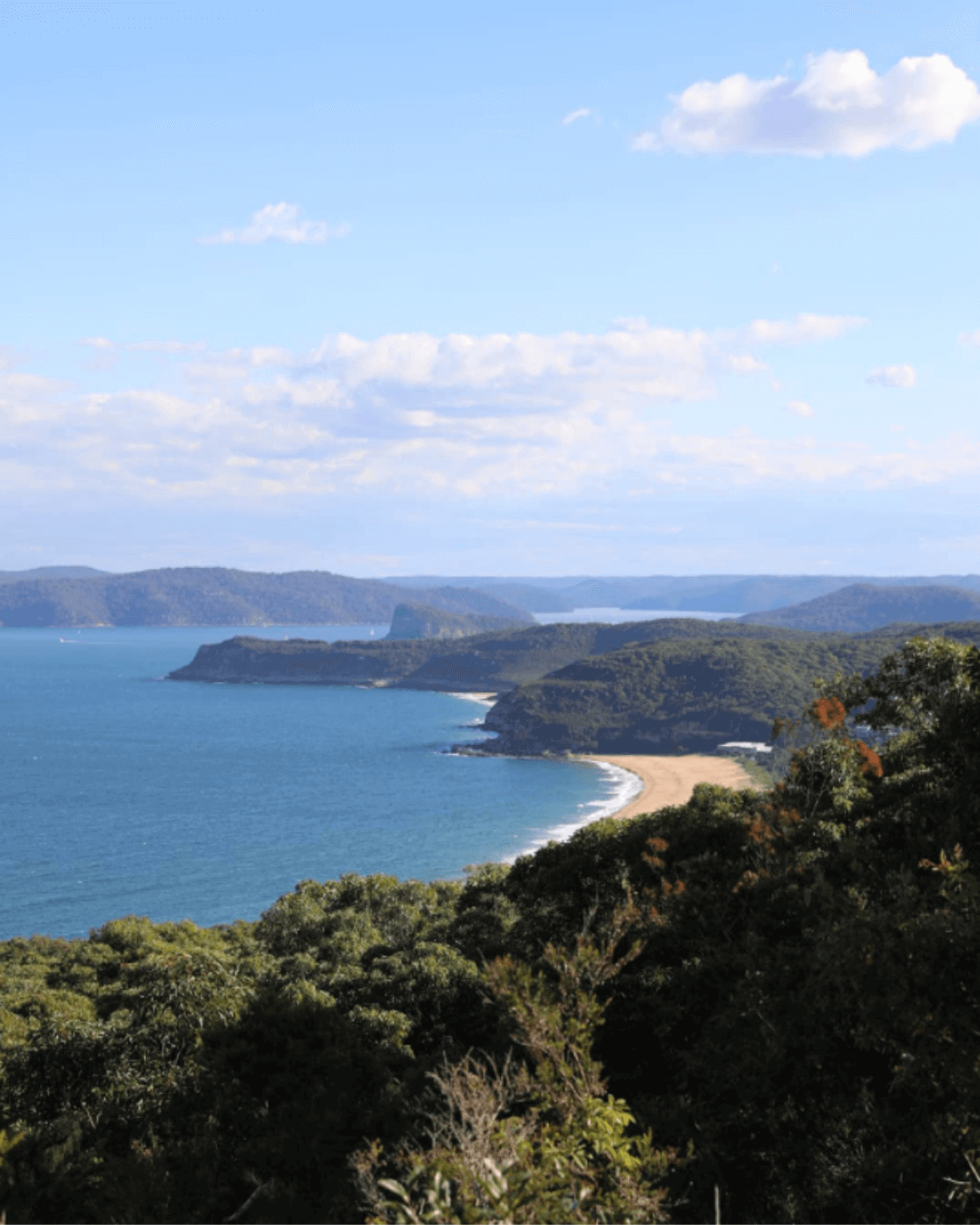 Marie Byles Lookout