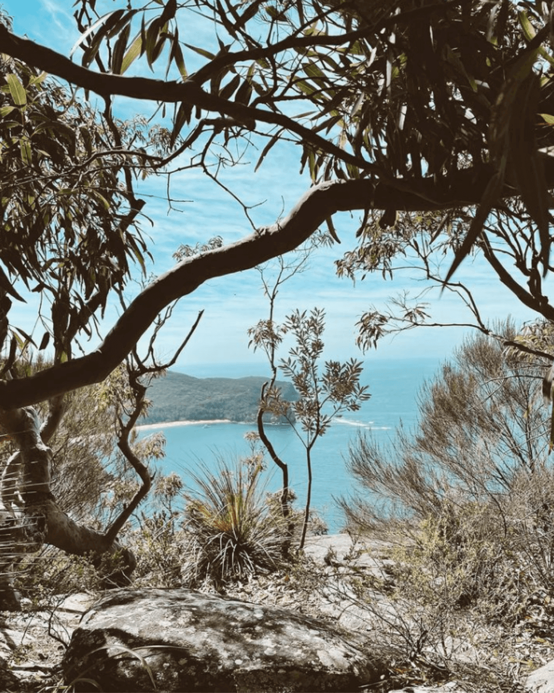 hidden lookout of Maitland Bay