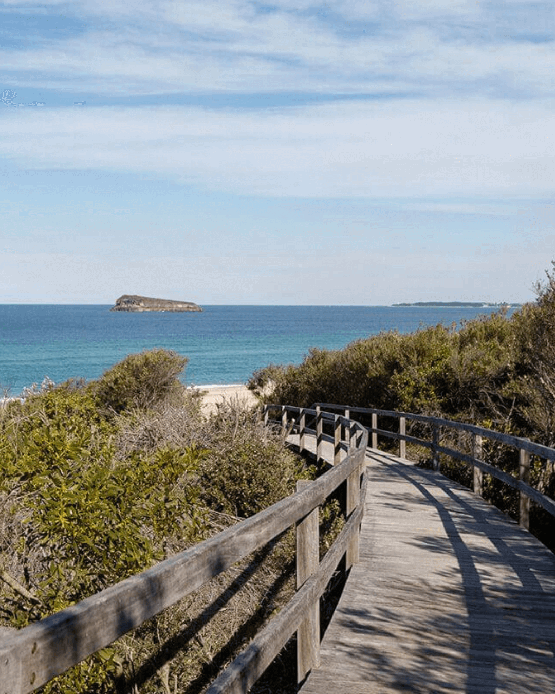 tea tree lookout