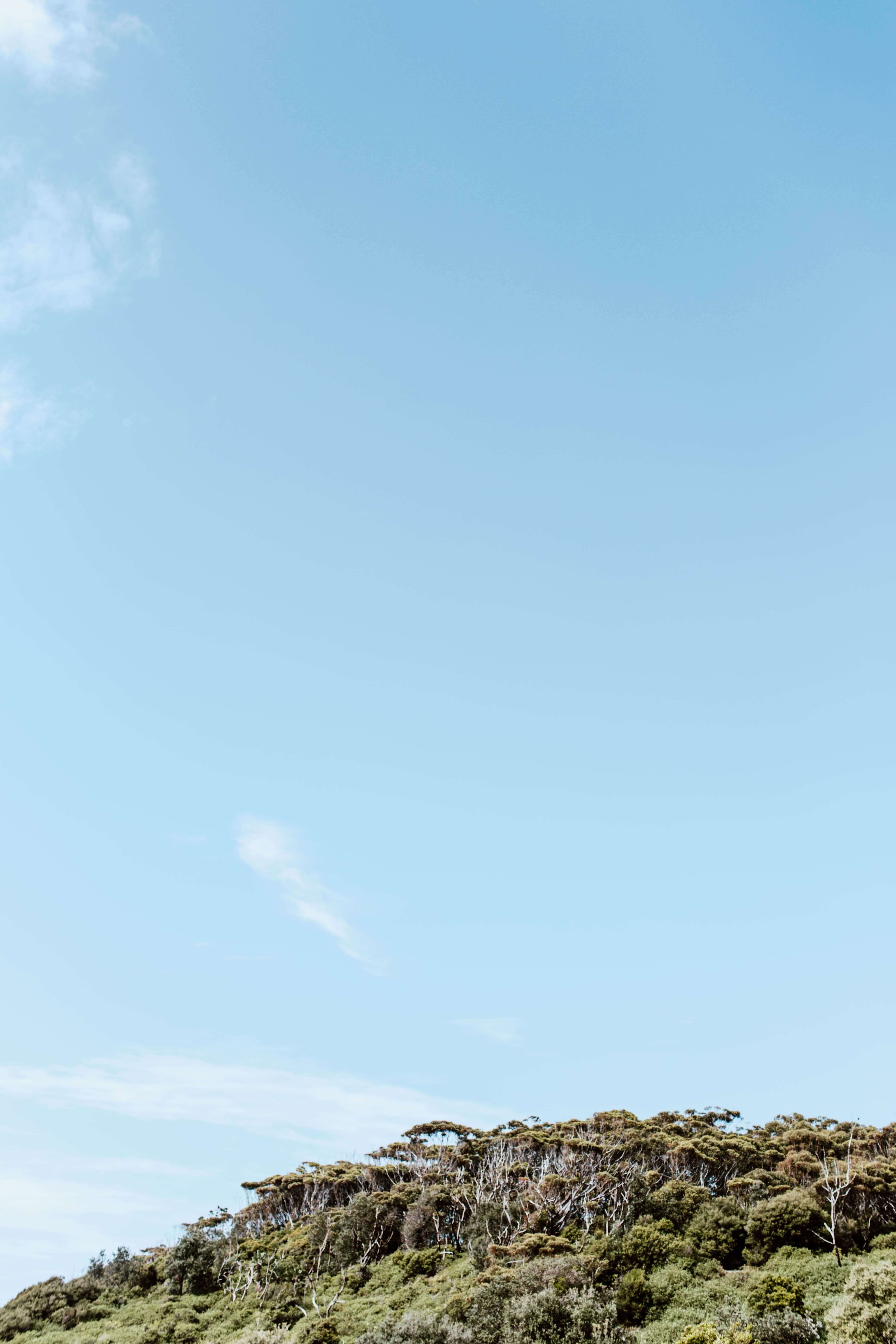 blue sky above green bushy lookout