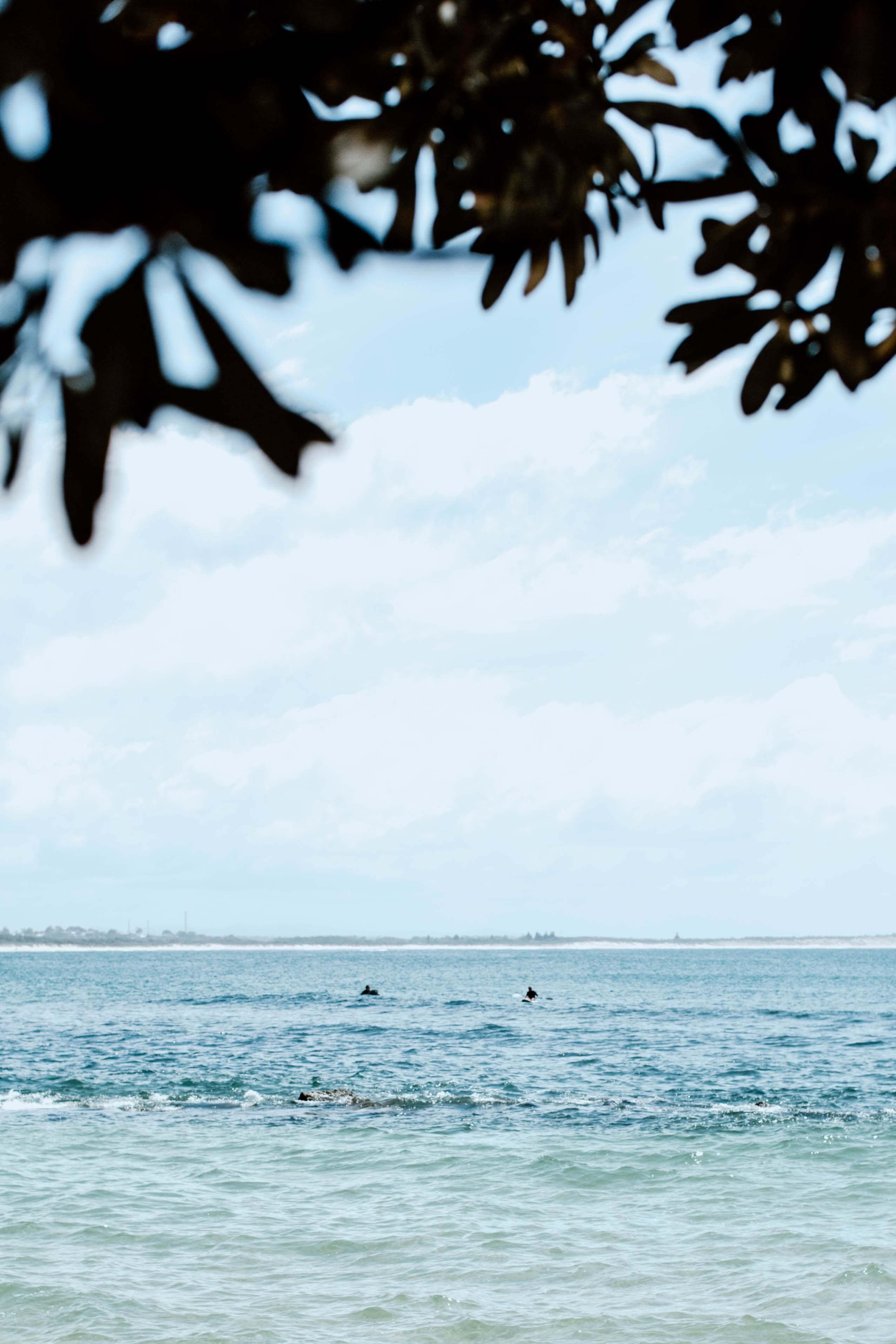 light tropical coastal water dotted with surfers