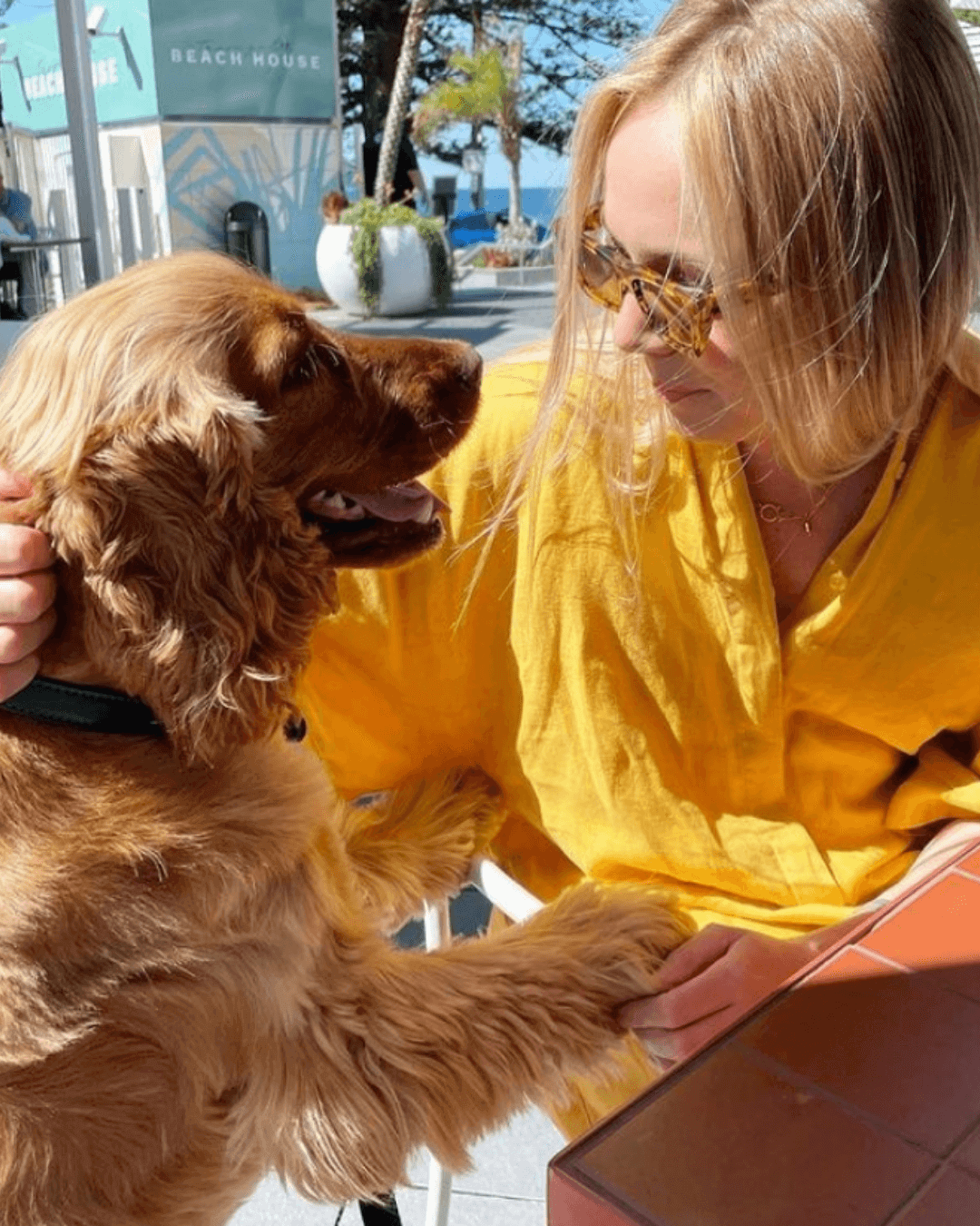 woman shaking dogs paw