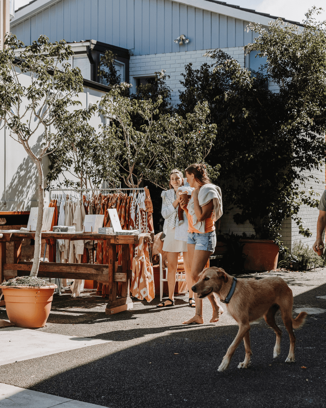 outdoor seating of dog friendly cafe