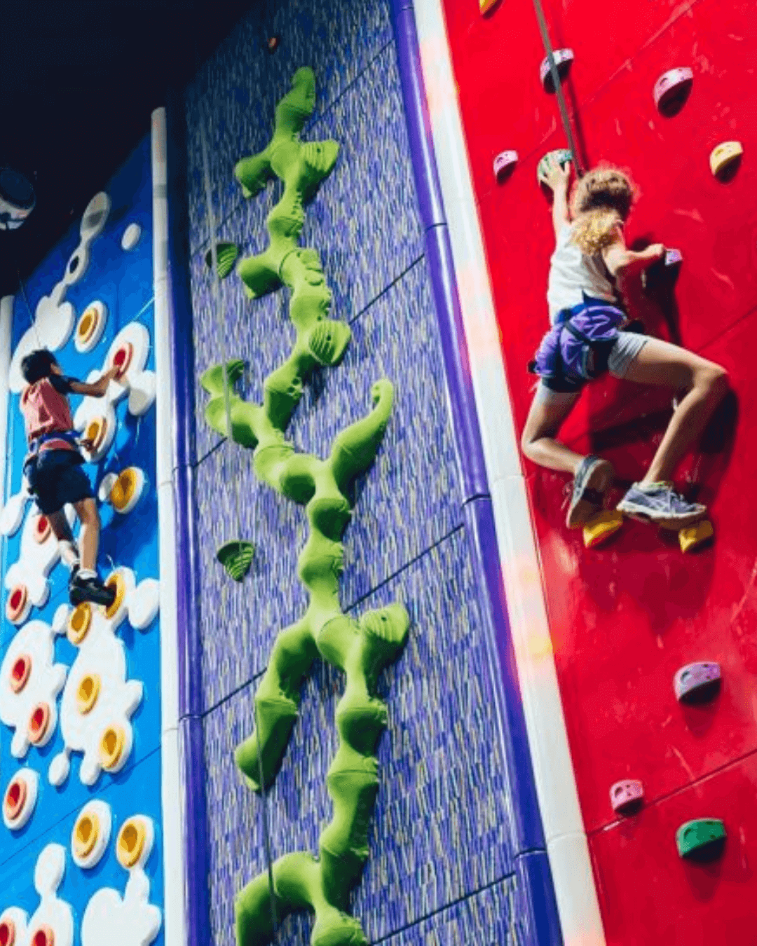 kids climbing wall