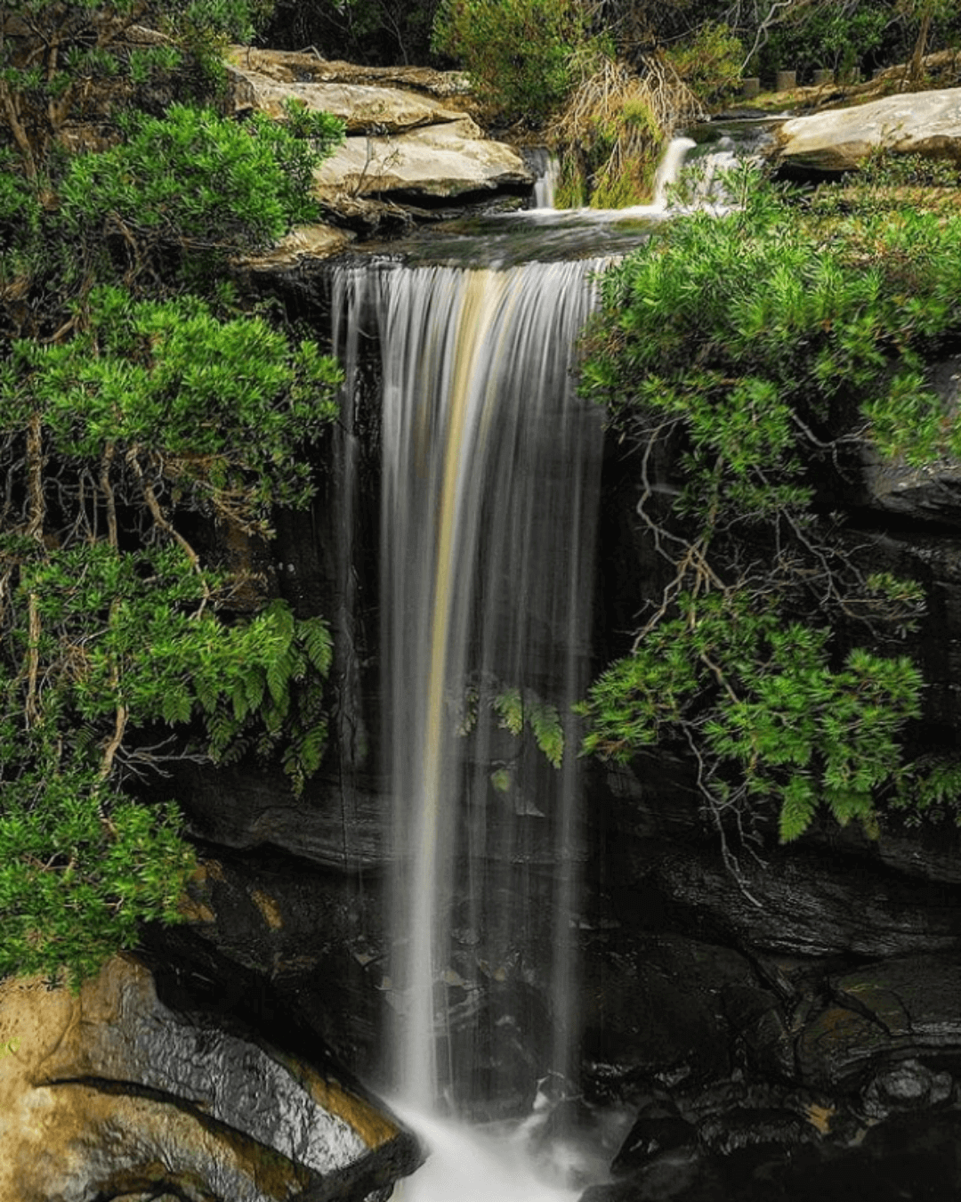tall waterfall in lush bushland