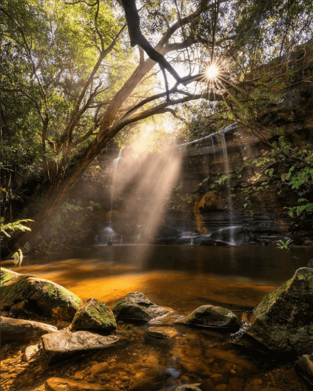 sunlight filtering onto iron coloured waterfall pool