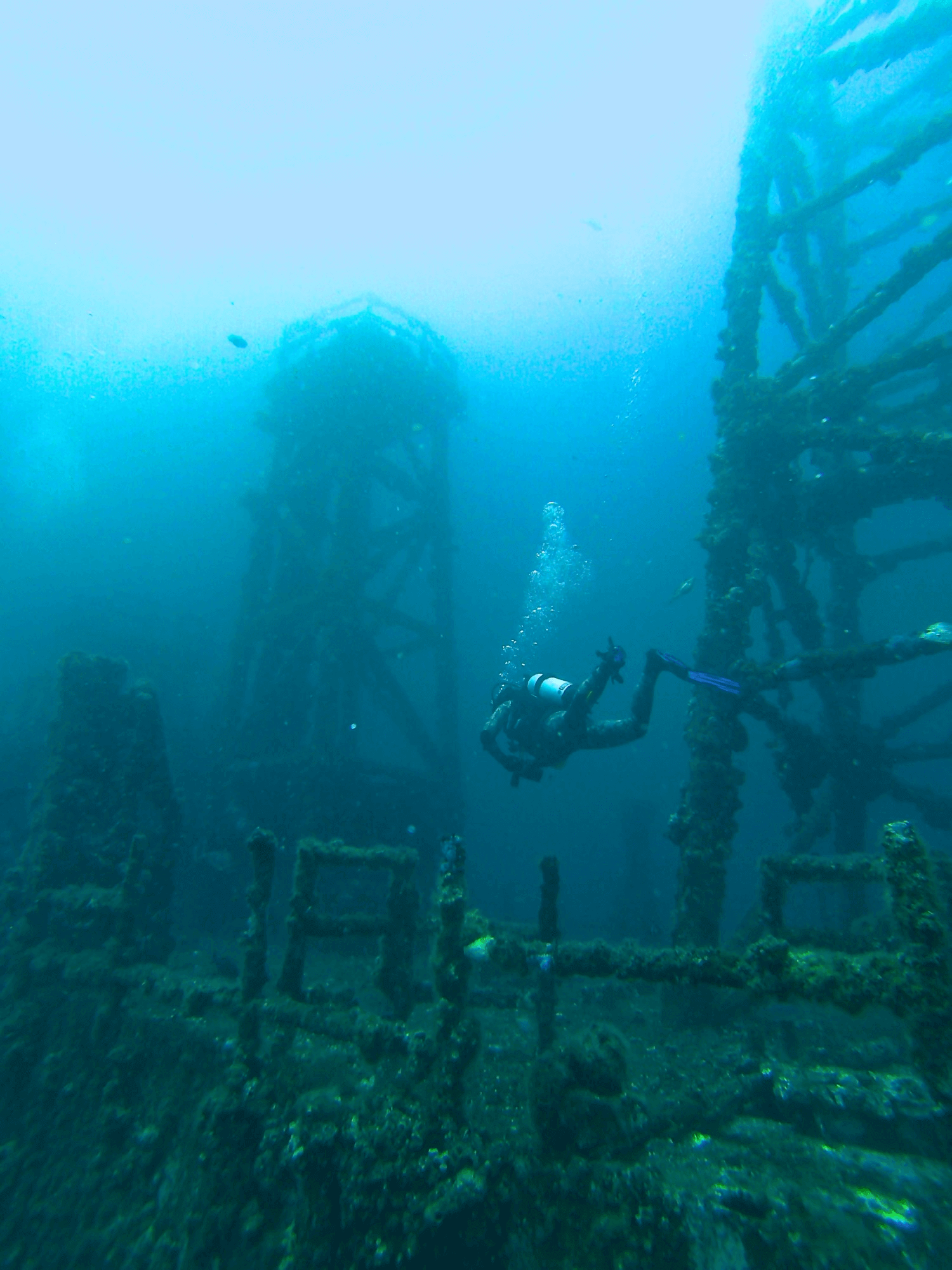 Diving on Central Coast HMAS Adelaide