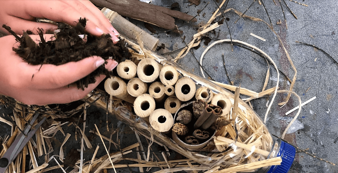 Insect Hotels Sustainabilty Workshop