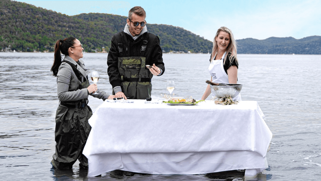 Waddlers and Oyster Shucking Central Coast