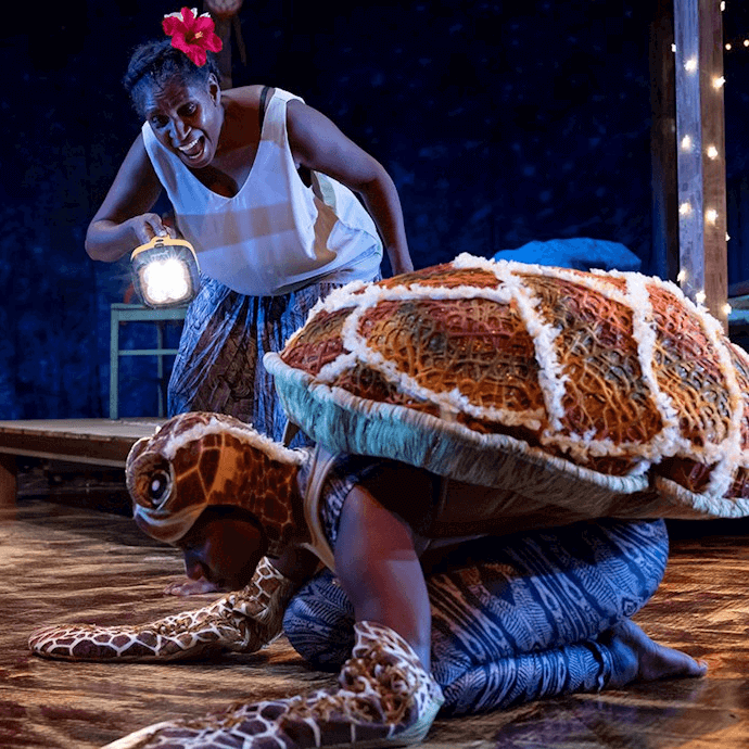 Waru journey of the small turtle