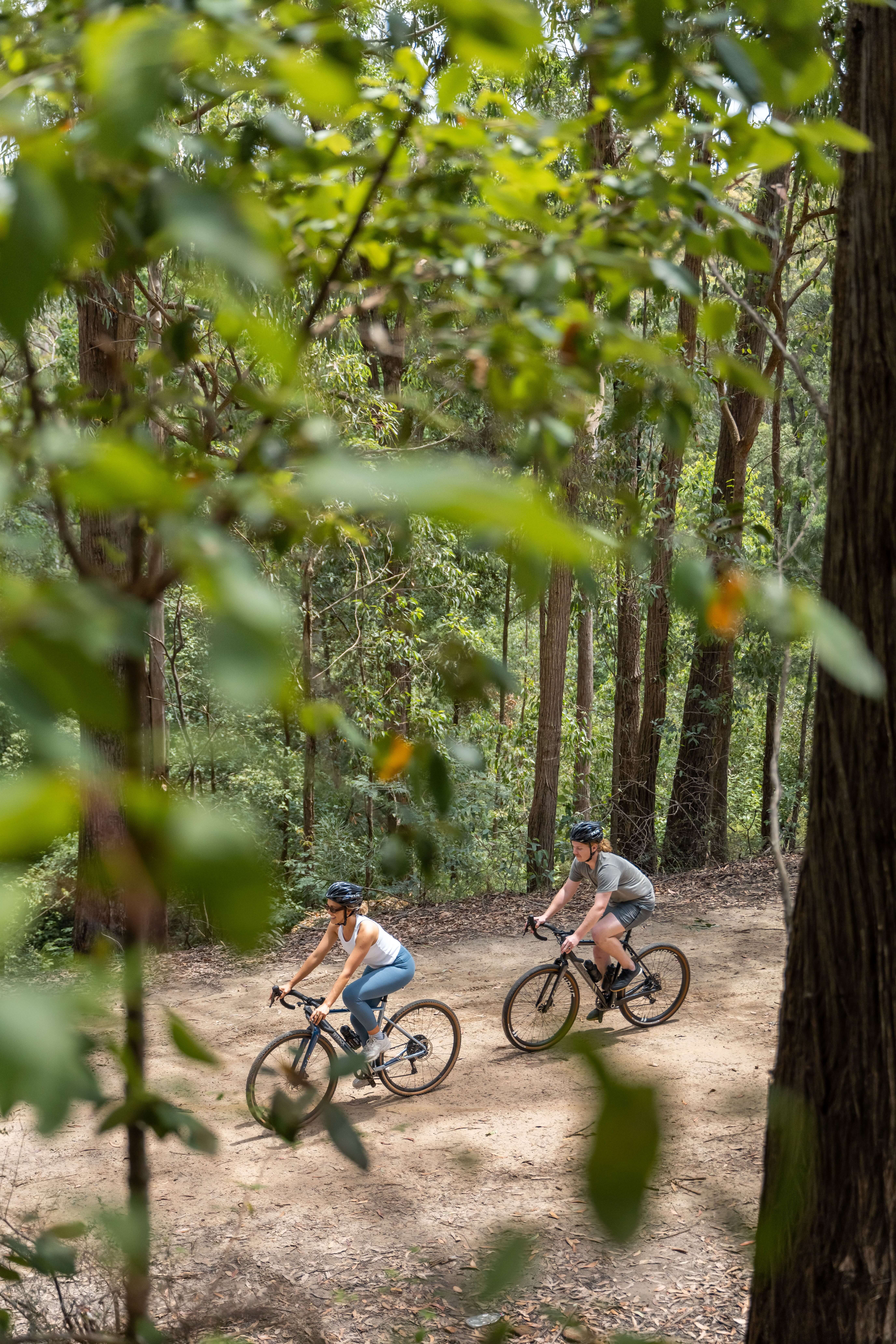 two cyclists riding in leafy forest