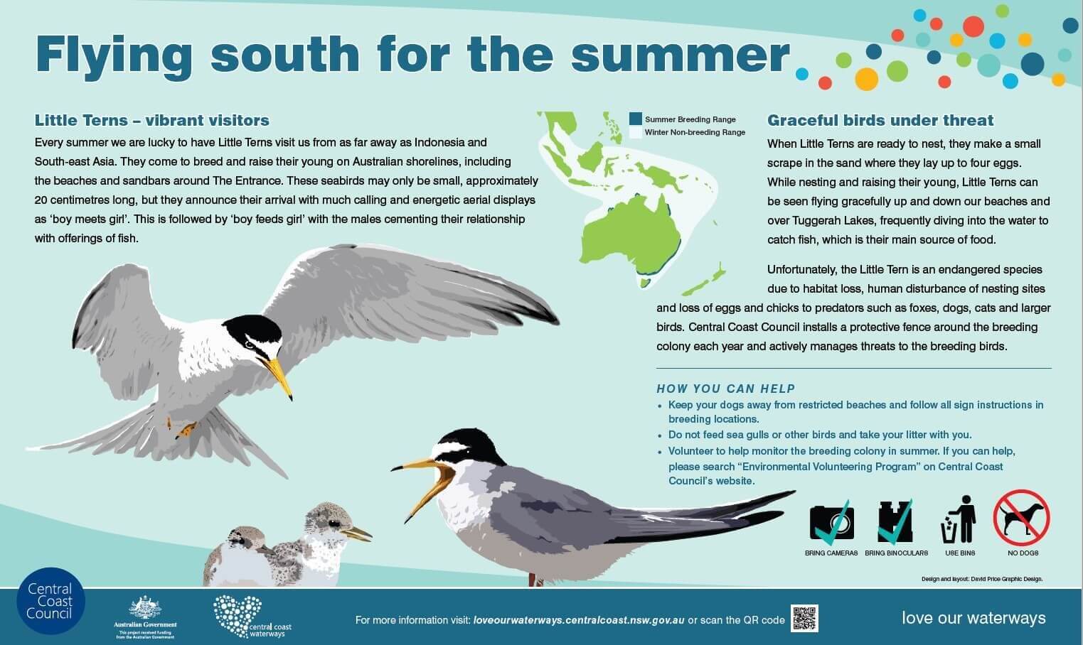 little tern educational signage as found at The Entrance