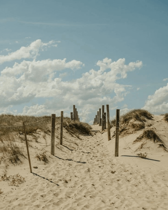 Eleanor_casey21 Birdie Beach NSW Australia Nudest beach on Central Coast