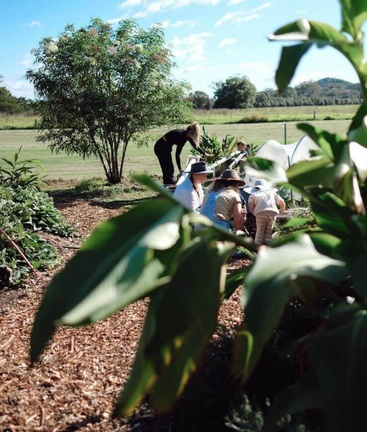 regenerative farming