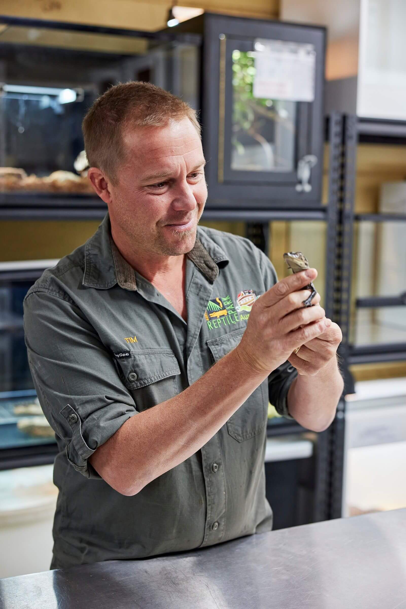 ranger milking snake for antivenom