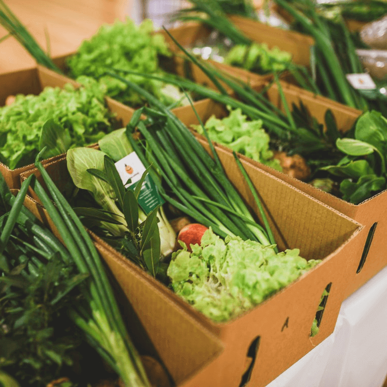 Fanelli Organics Veggie Box.png 