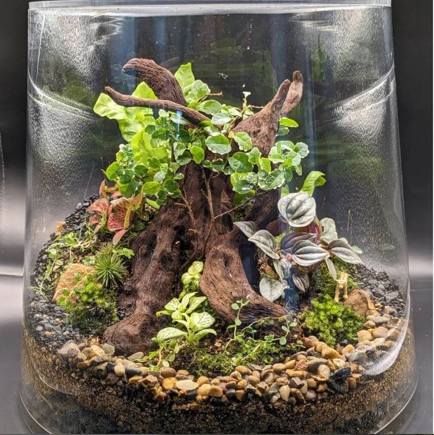 Zen garden in a glass jar