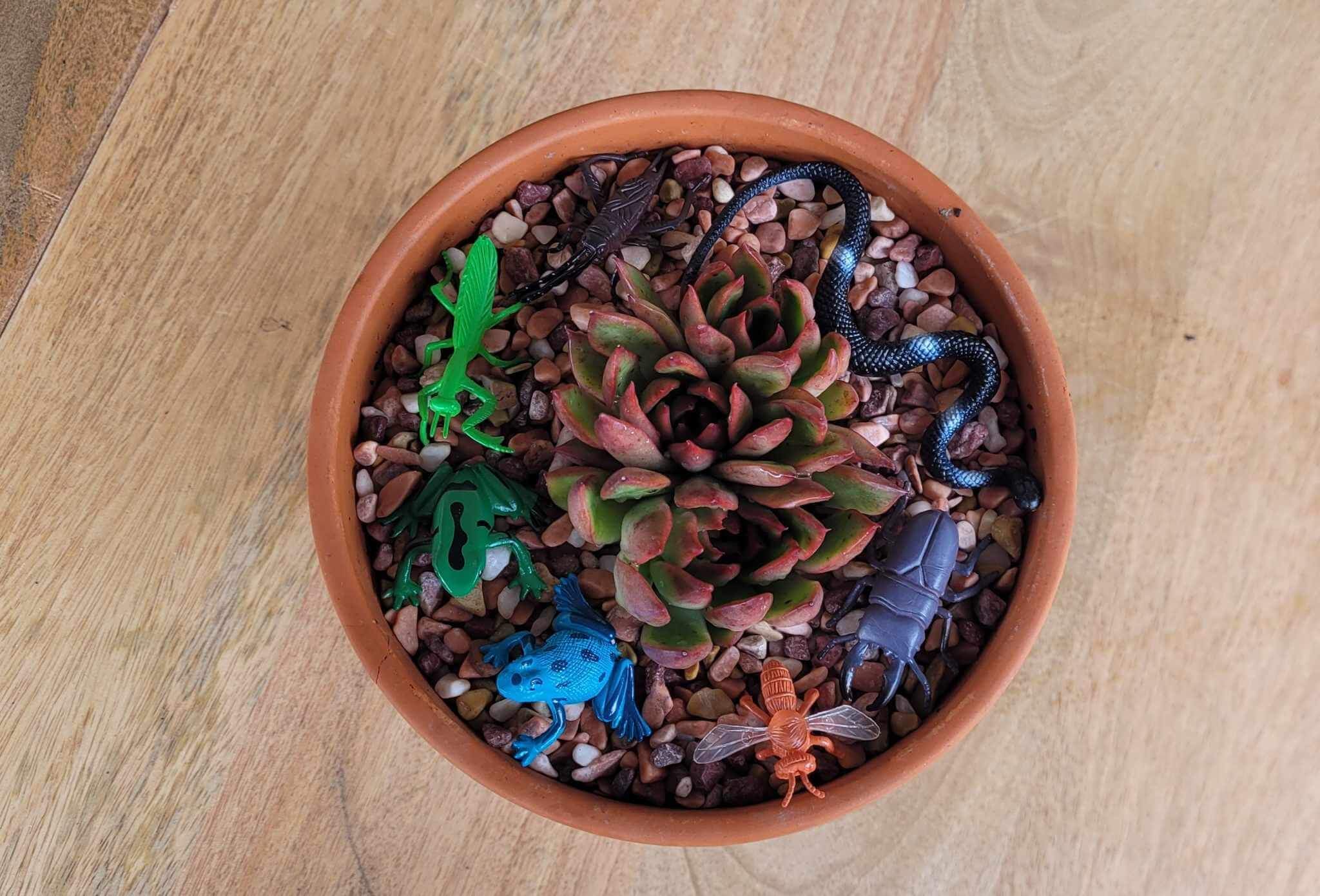Birds eye view of a small clay pot plant on a wood table with plastic animals in it.