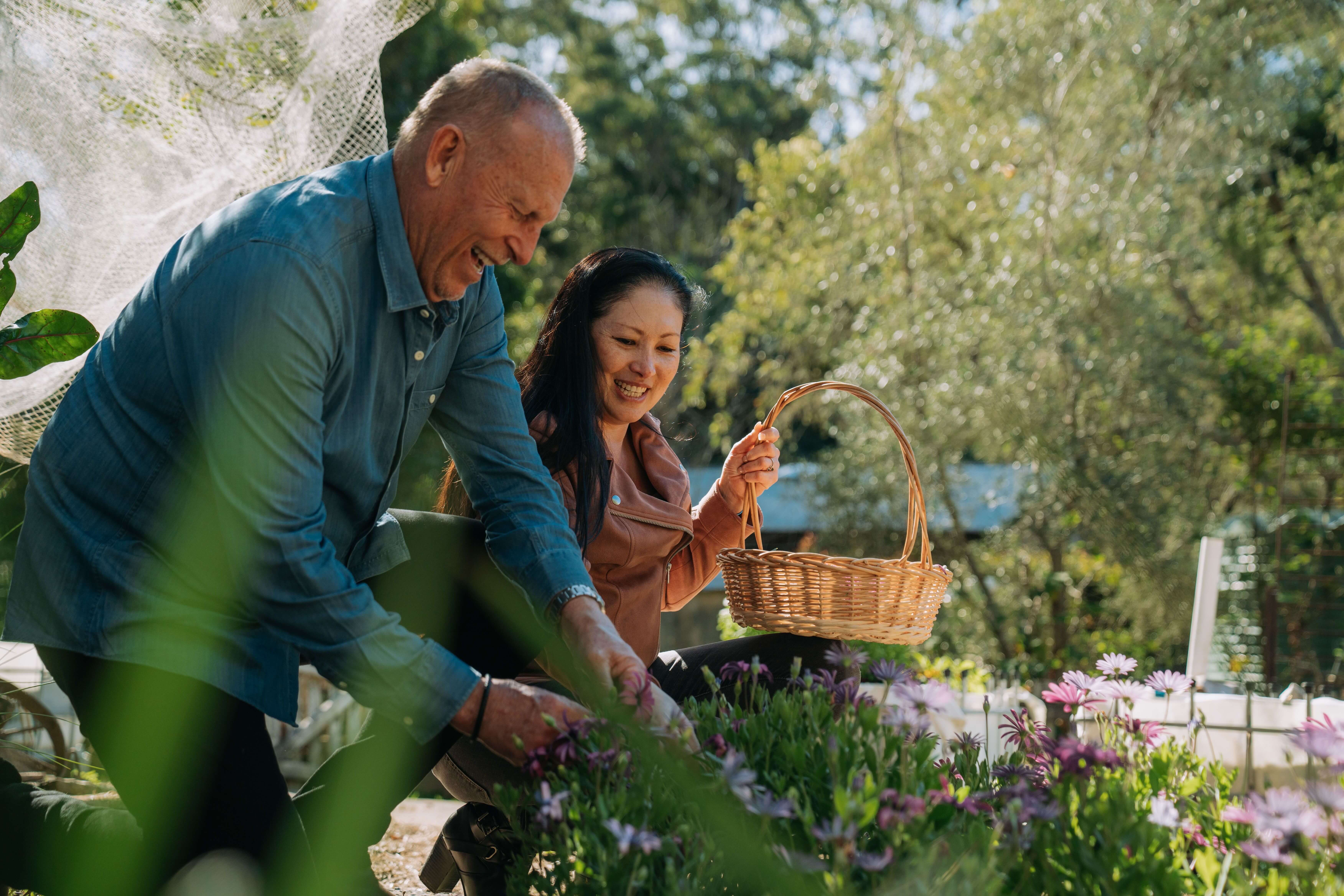 mature couple foraging for botanicals at a sustainable winery cellar door as part of the mixology experience