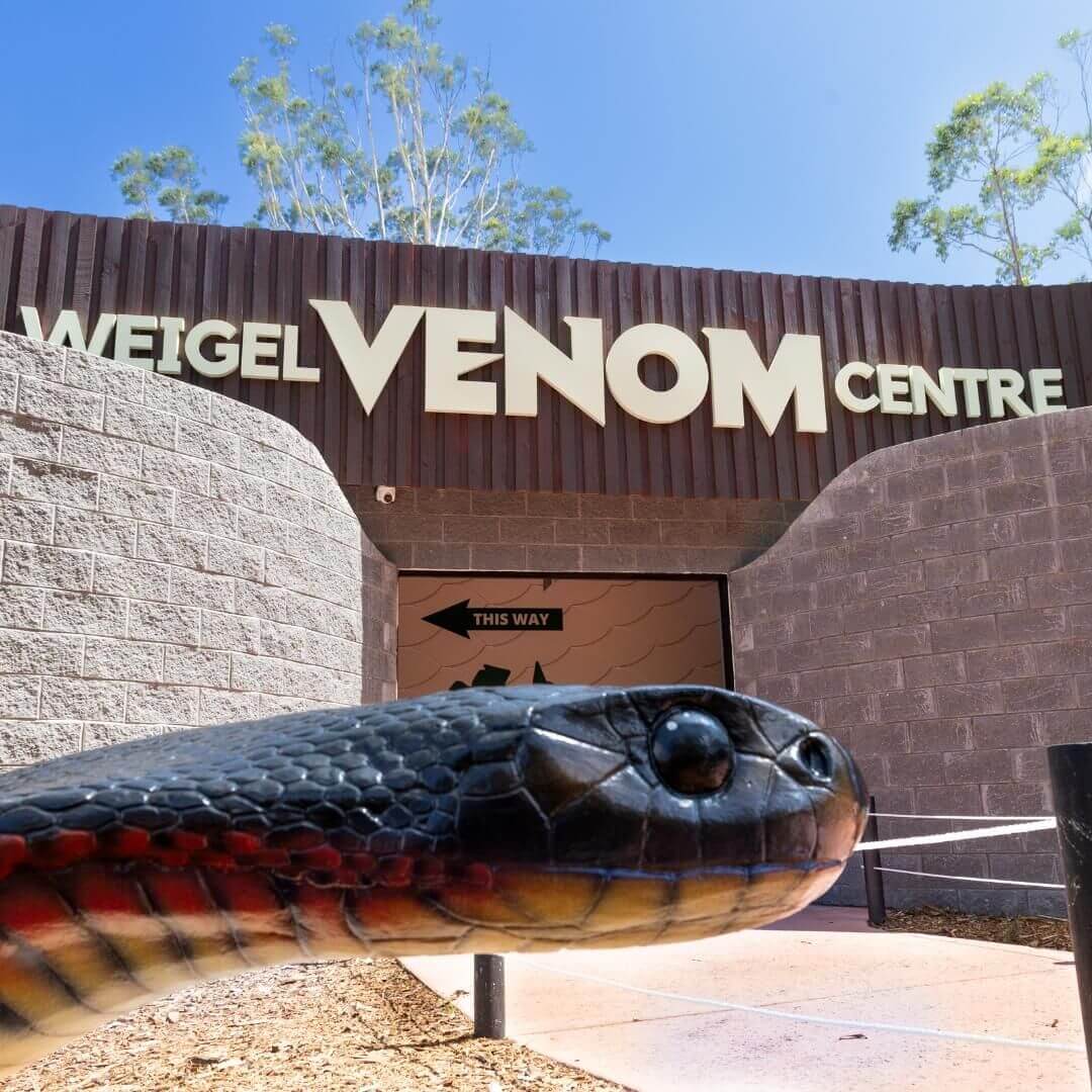A facade of a building with a logo saying 'Weigel Venom Centre' at the top of the building and a fake snake statue sitting in the foreground.