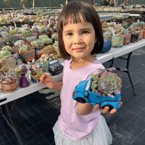 Small girl holding up a succulent in blue car pot