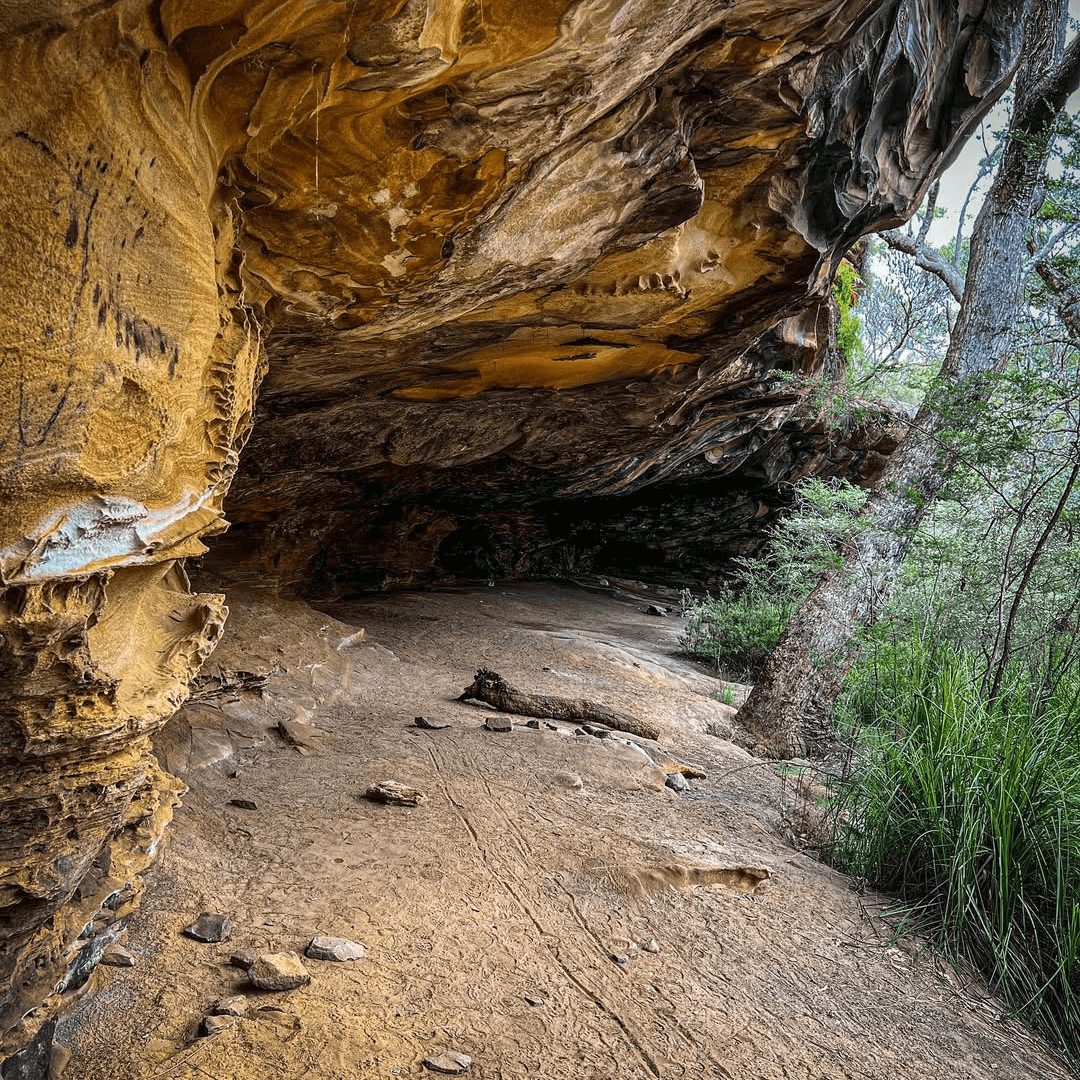 A rock overhang within lush bushland