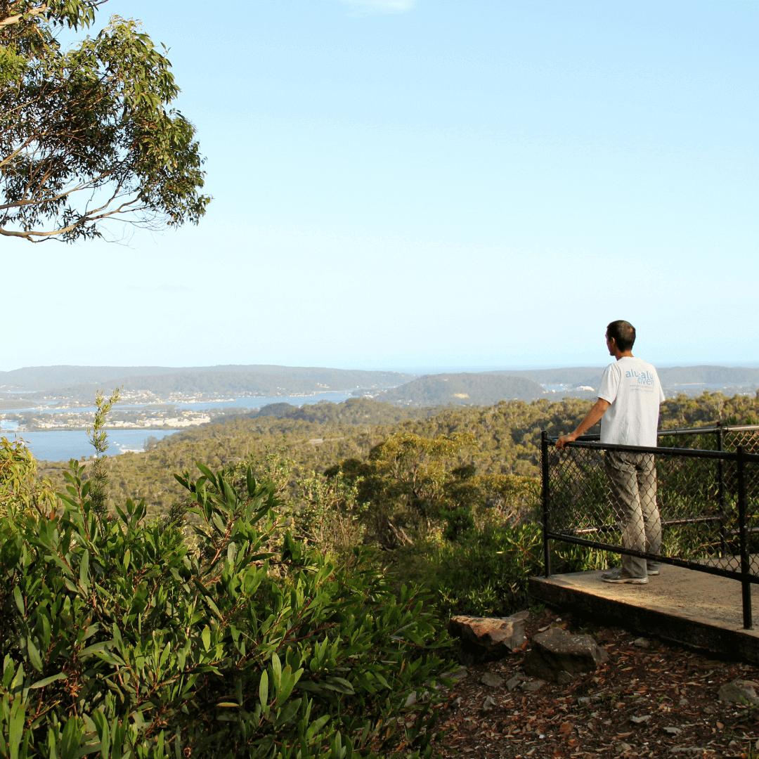 A man standing on a viewing platform in the middle of the bush overlooking a lakeside town in the distance