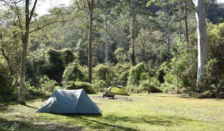 Two tents in a campground surrounded by bushland