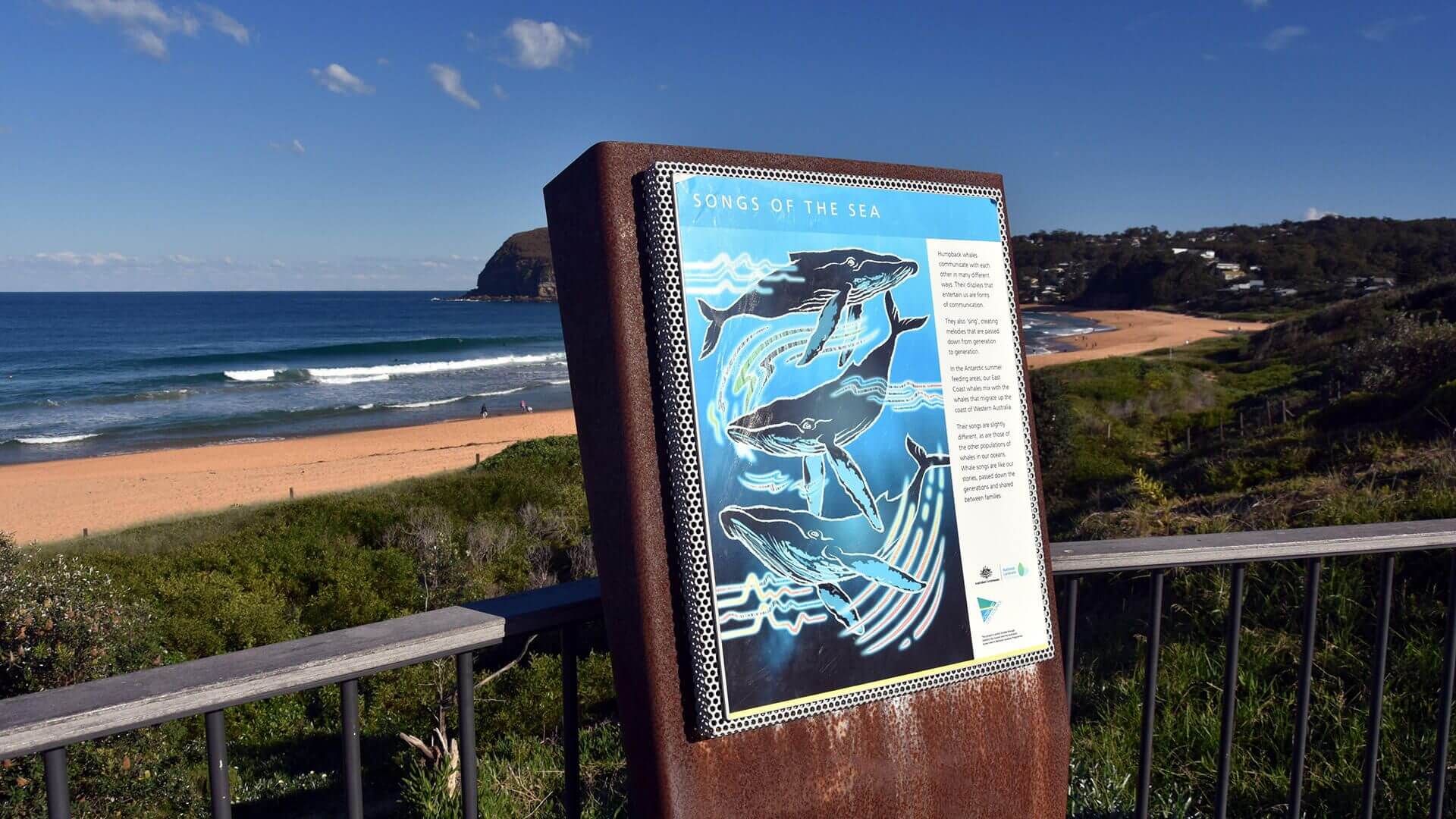 whale spotting signage