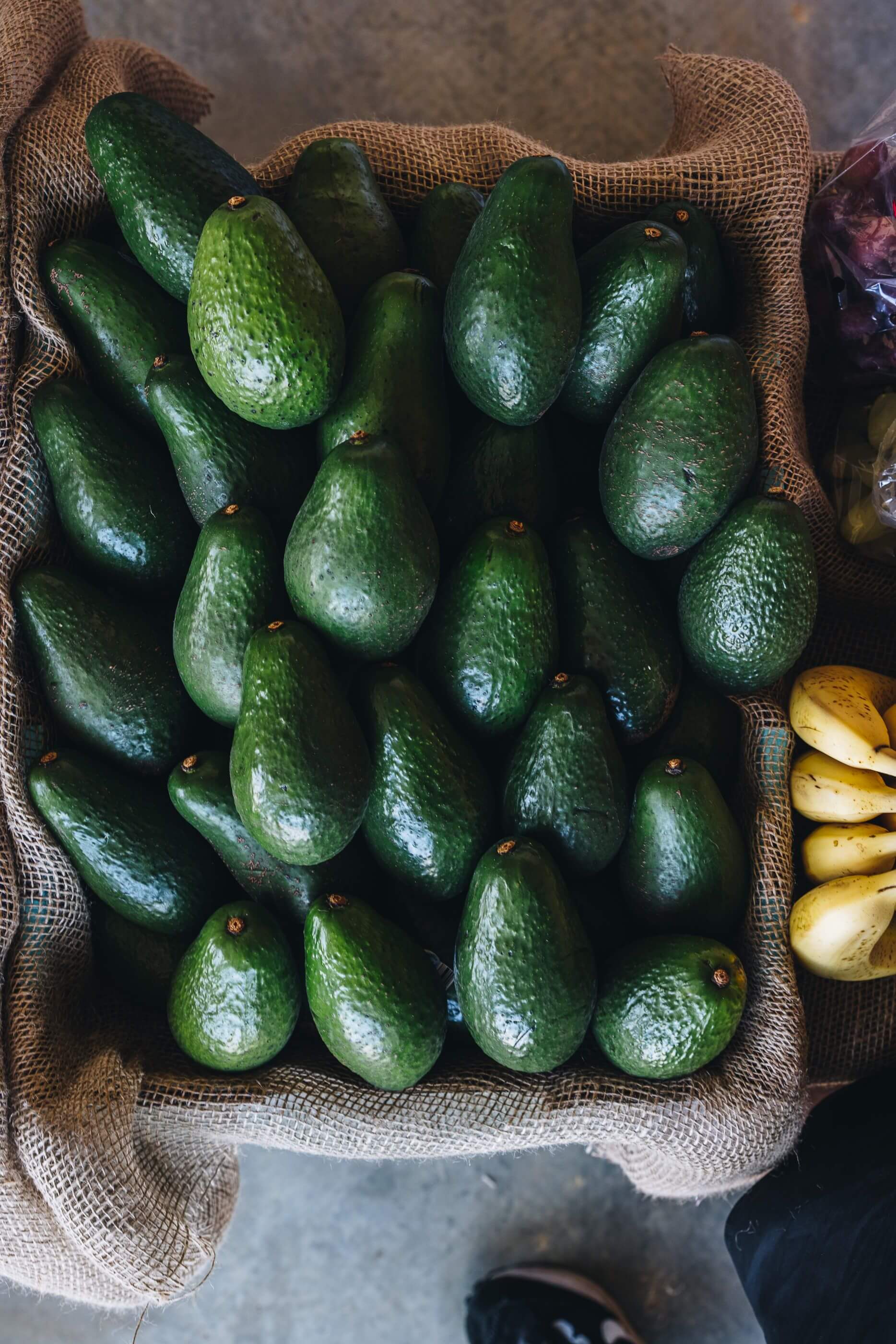 basket of avocadoes