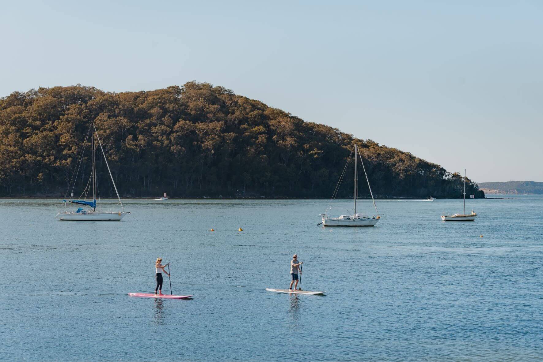 couple stand up paddle boarding
