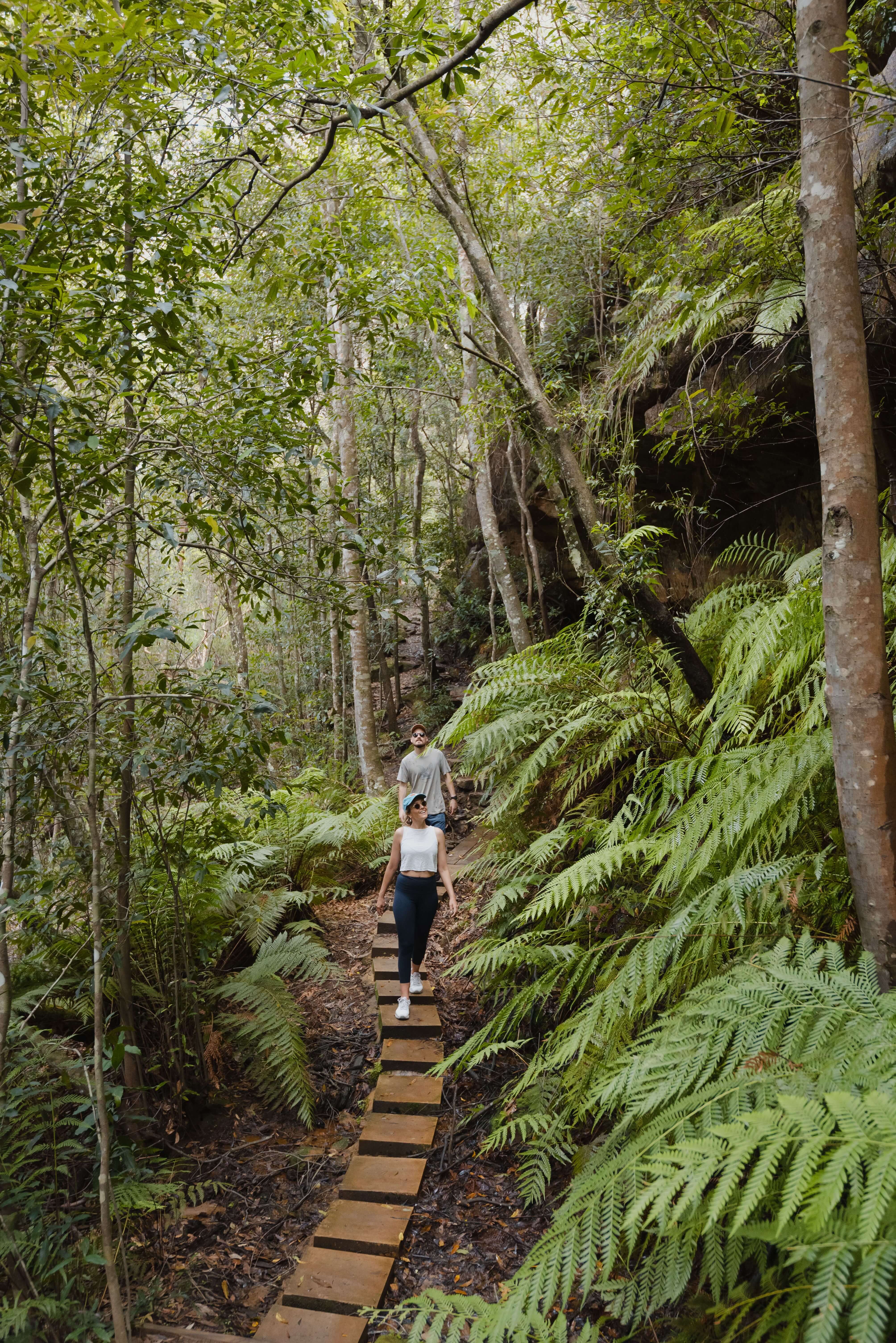 couple hiking on lush forest path