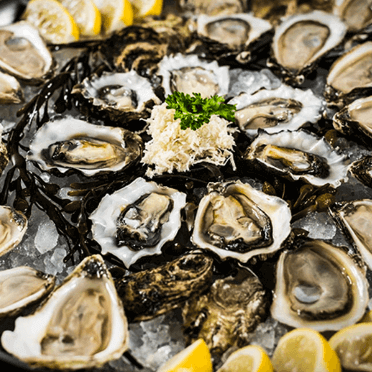 shucked Oysters on a plate