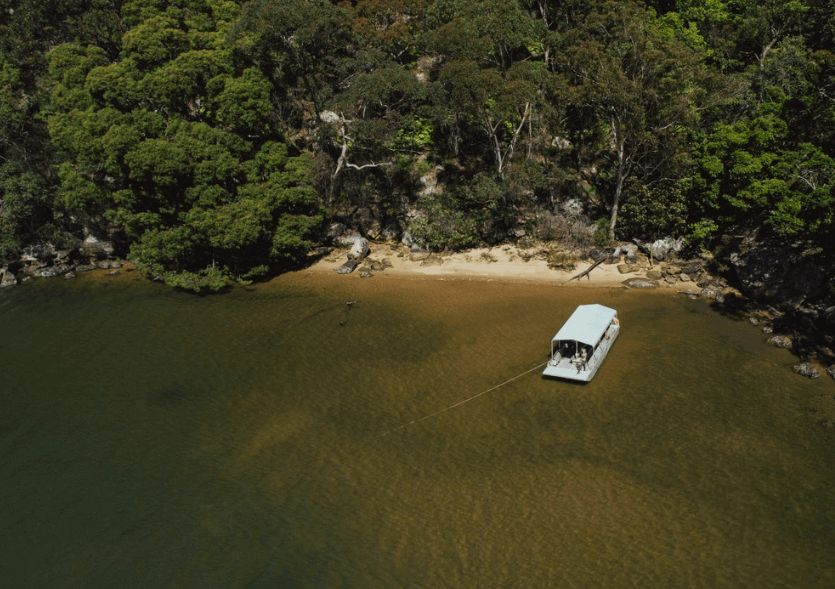 Boat on remote beach surrounded with bush