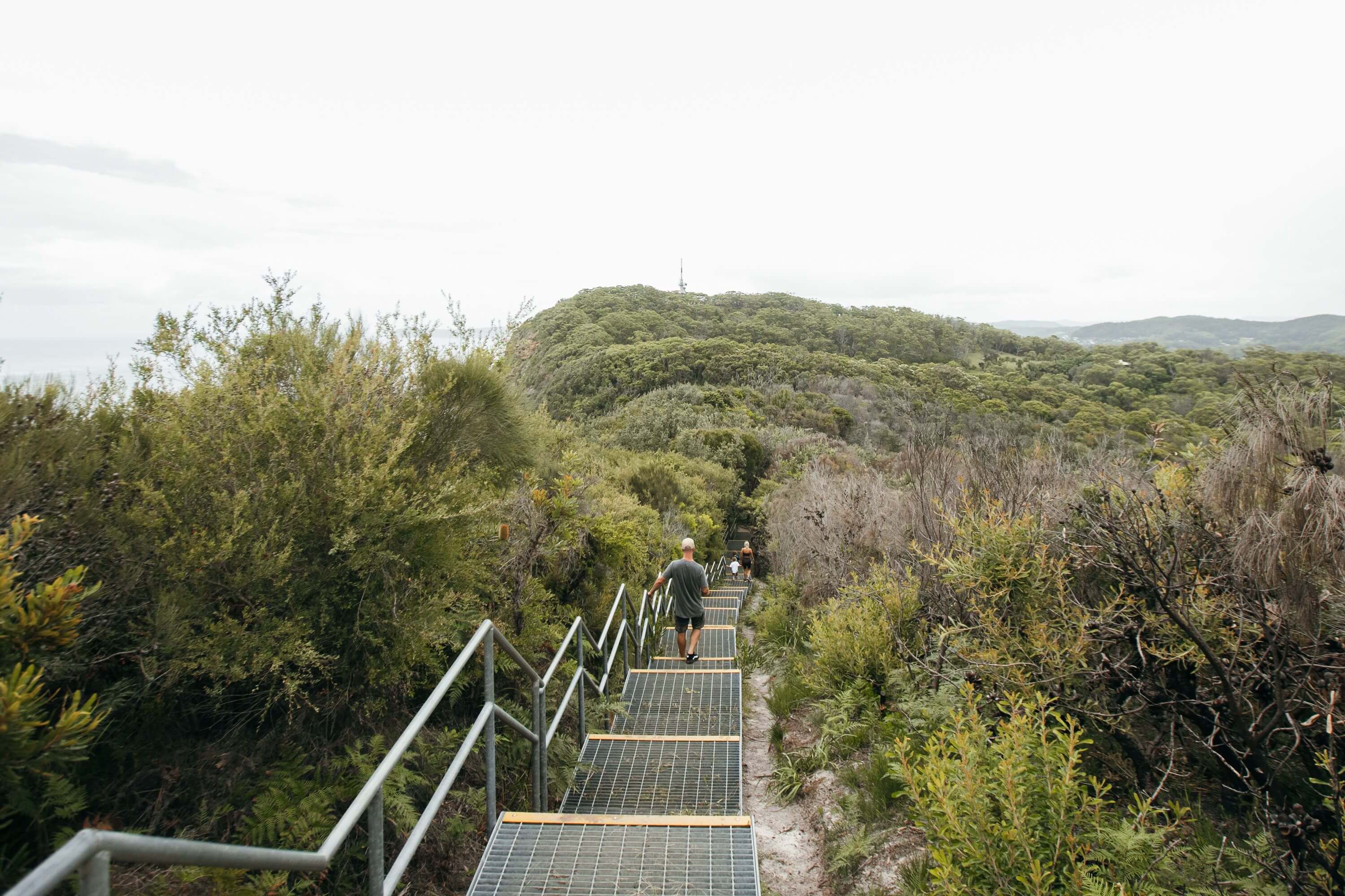 coastal walking track