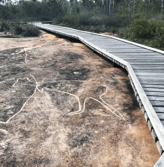 wallaby rock carving