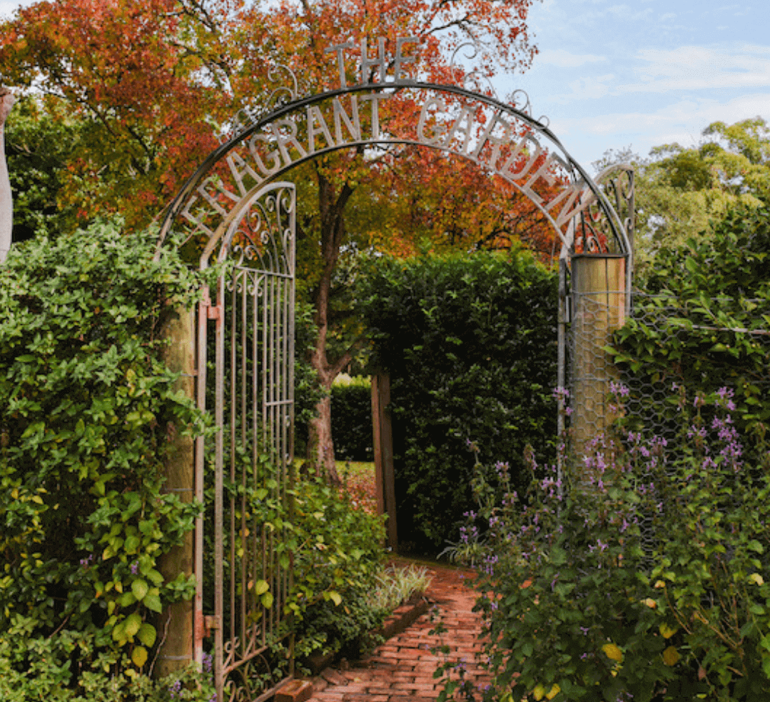 Distillery Botanica