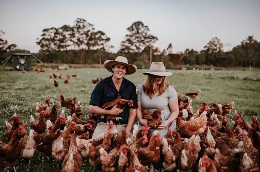 Free Range Chickens at the Food Farm