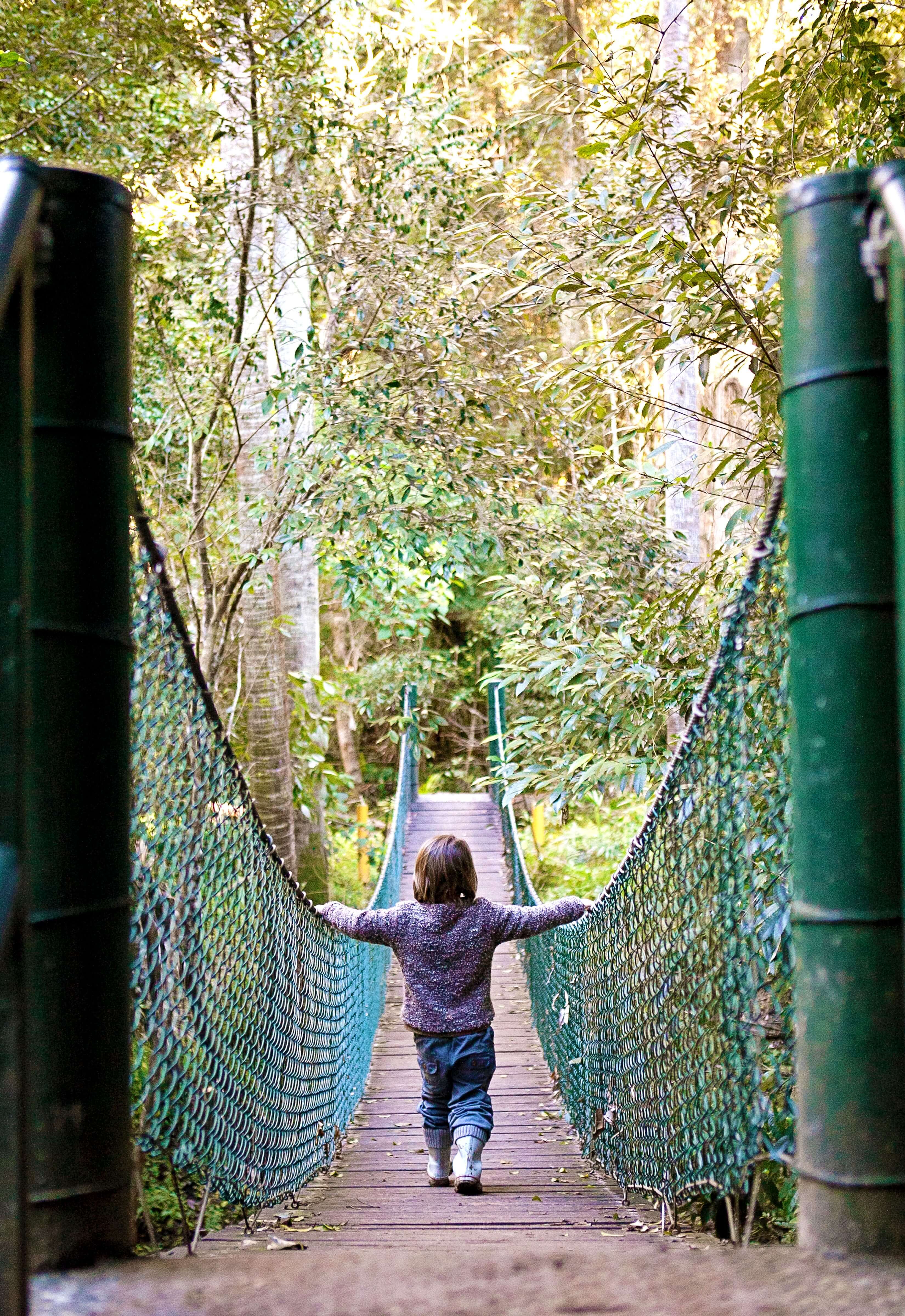 Strickland State Forest Swing Bridge