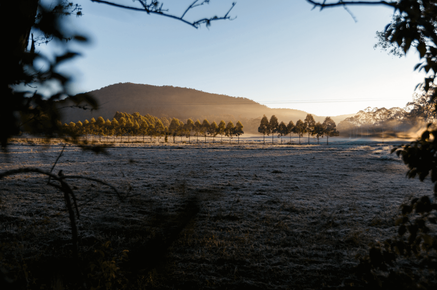 hinterland in fog