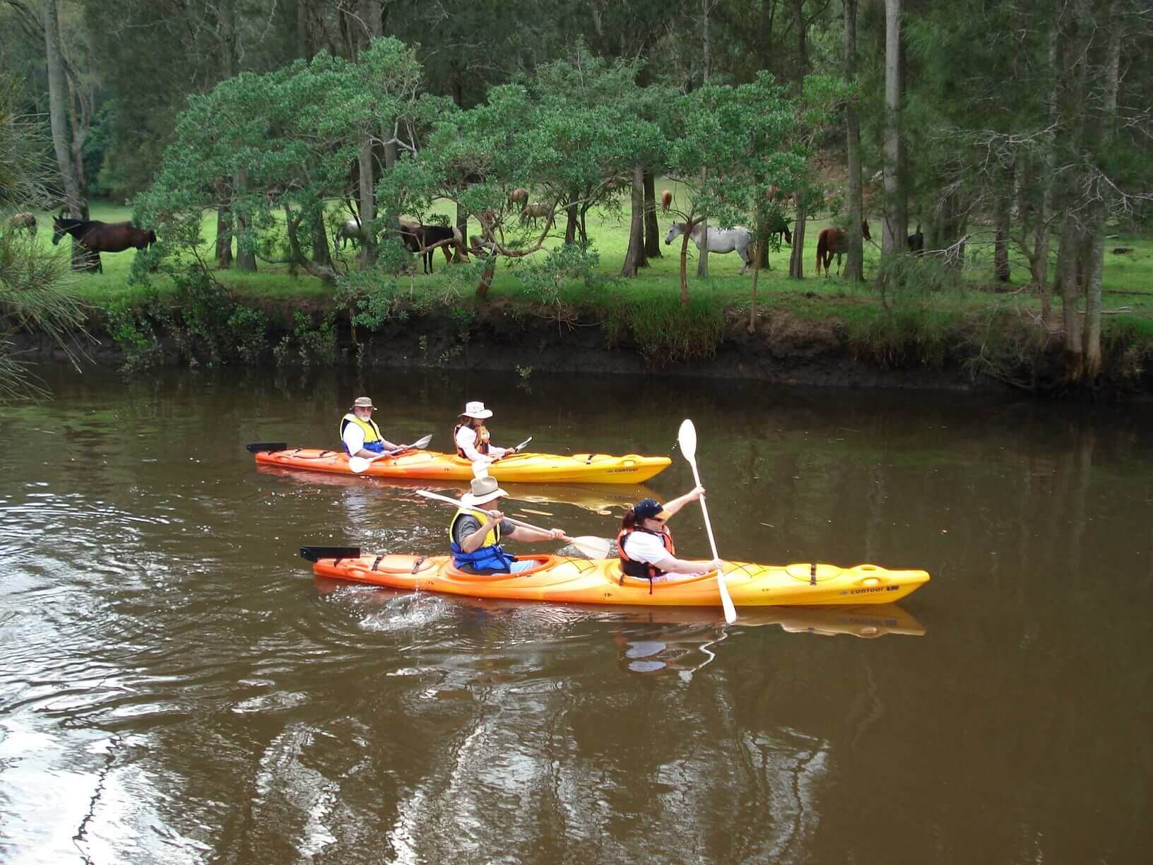 Things to do, a guided Eco Kayak Tour with Glenworth Valley Outdoor Adventures