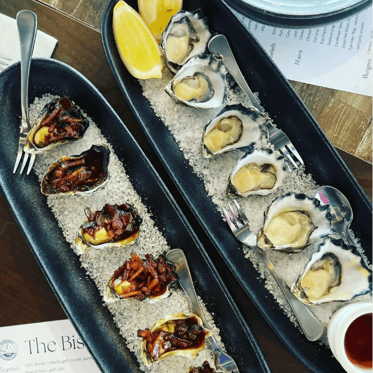 Oysters at Gosford Sailing Club