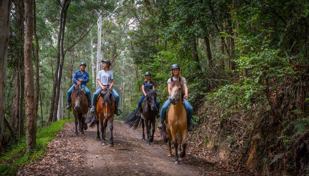 Glenworth valley horse shop riding