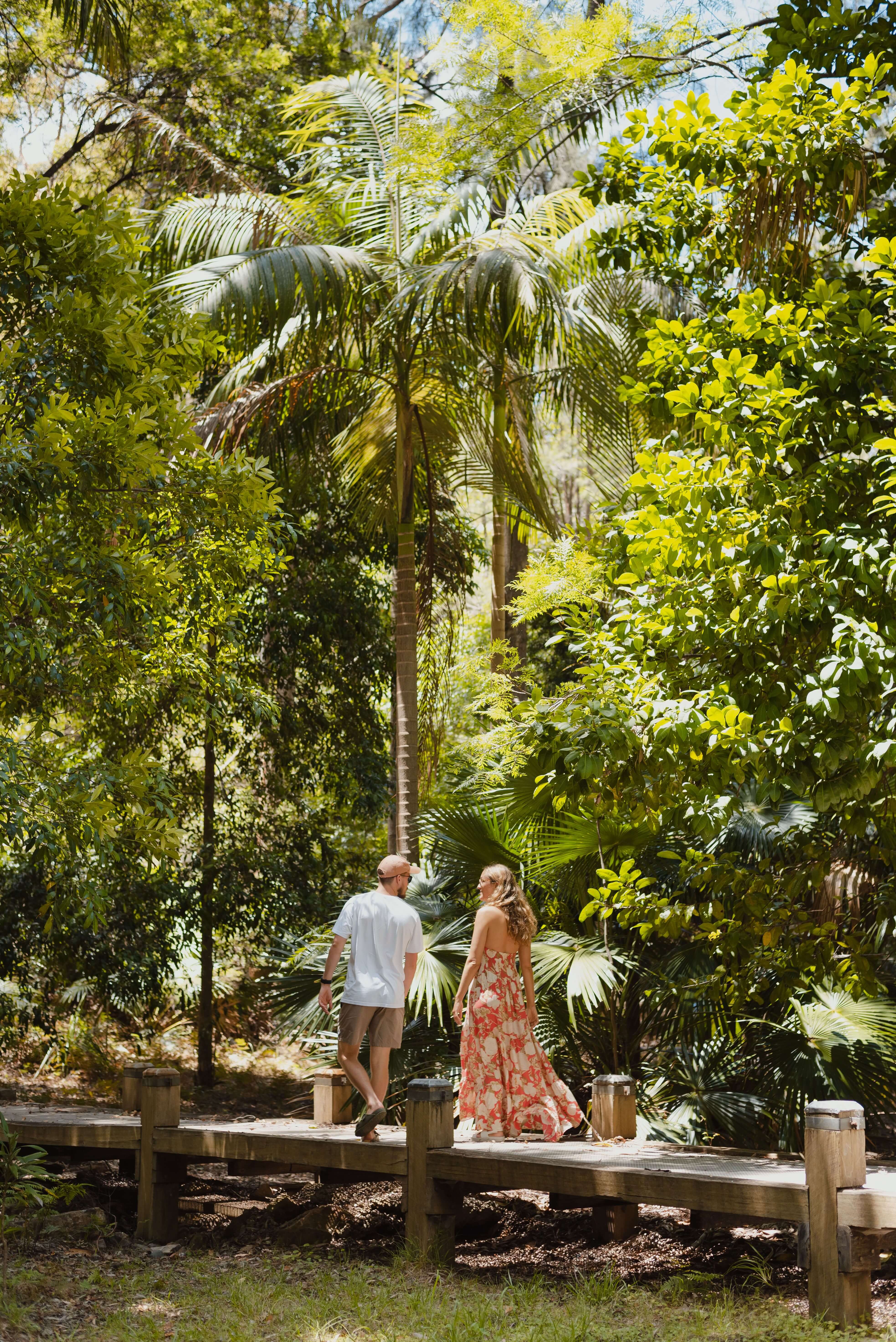 people walking through palms of arboretum