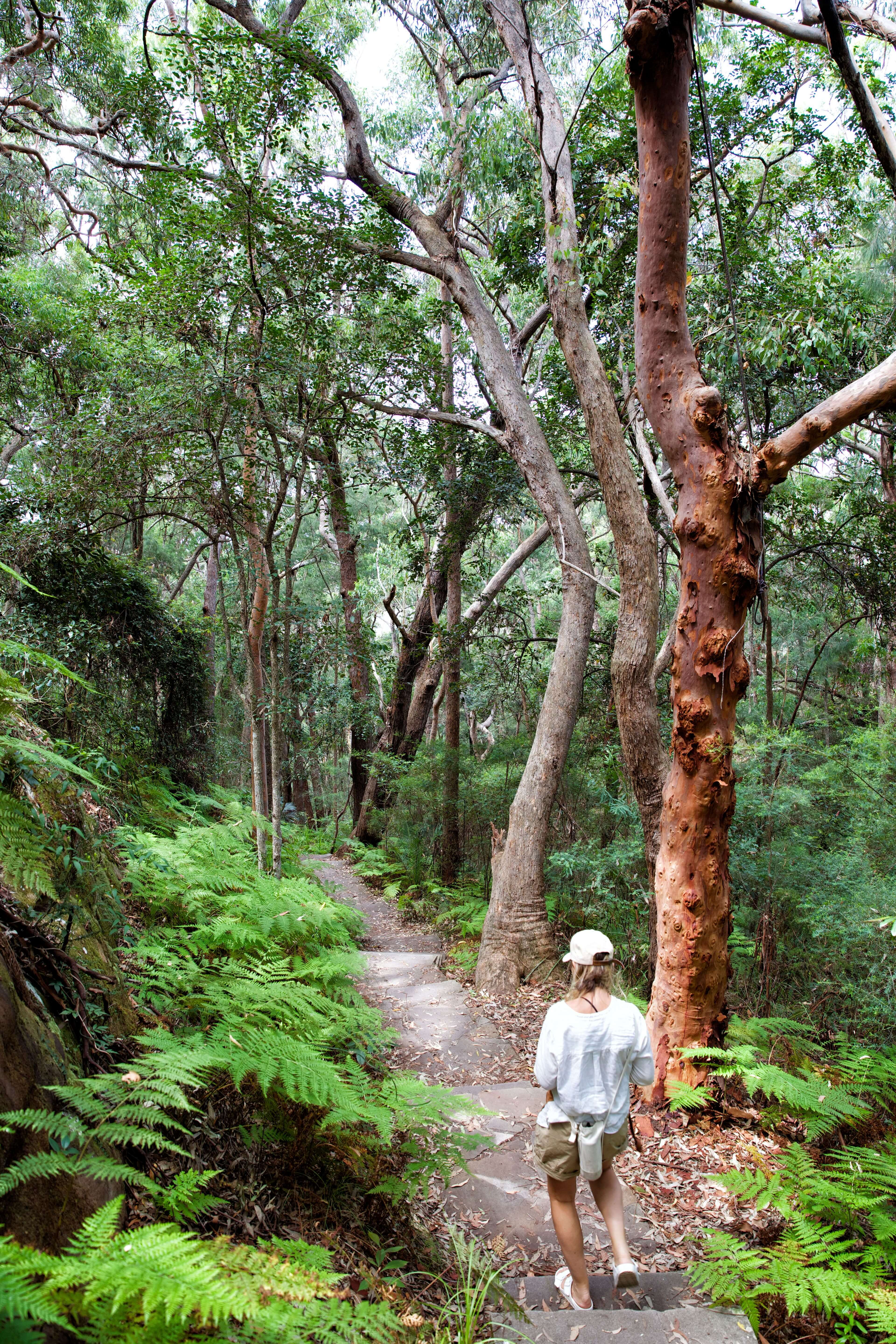 woman hiking in coastal bushland