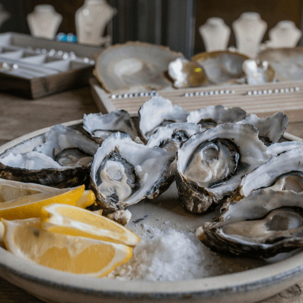 Shucked oysters on a plate