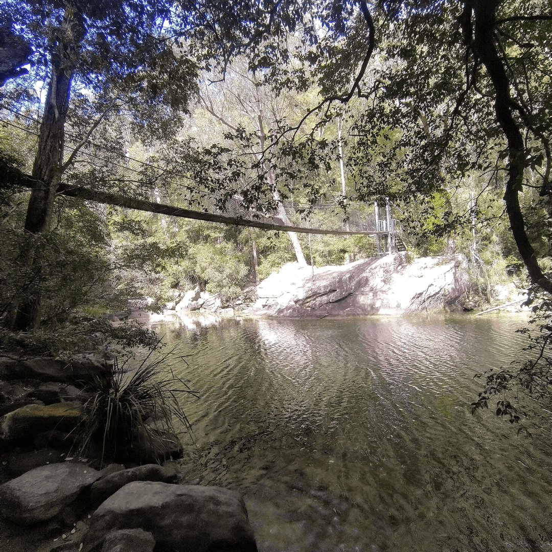 Piles Creek