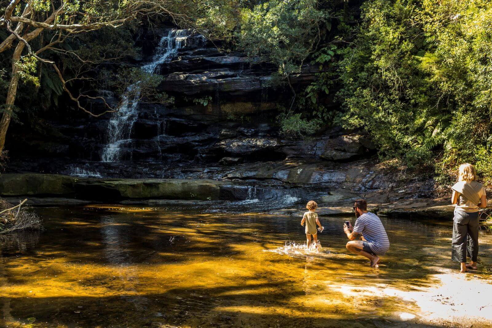 family playing in falls